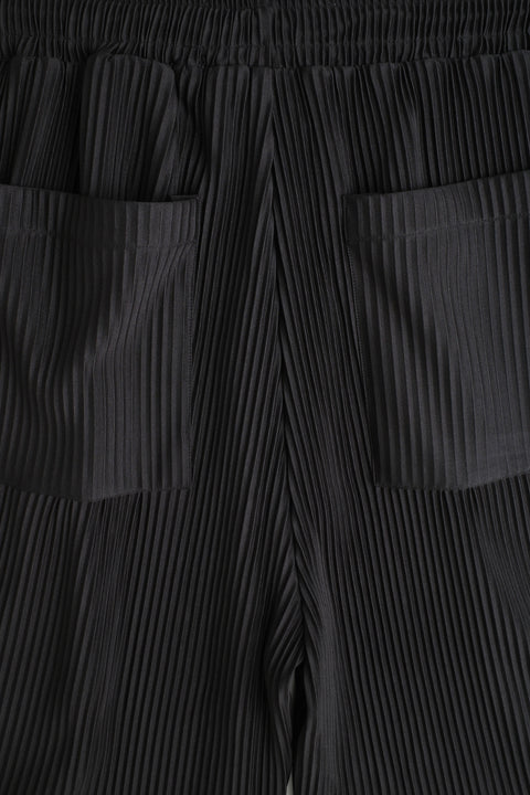 Pleats Pant